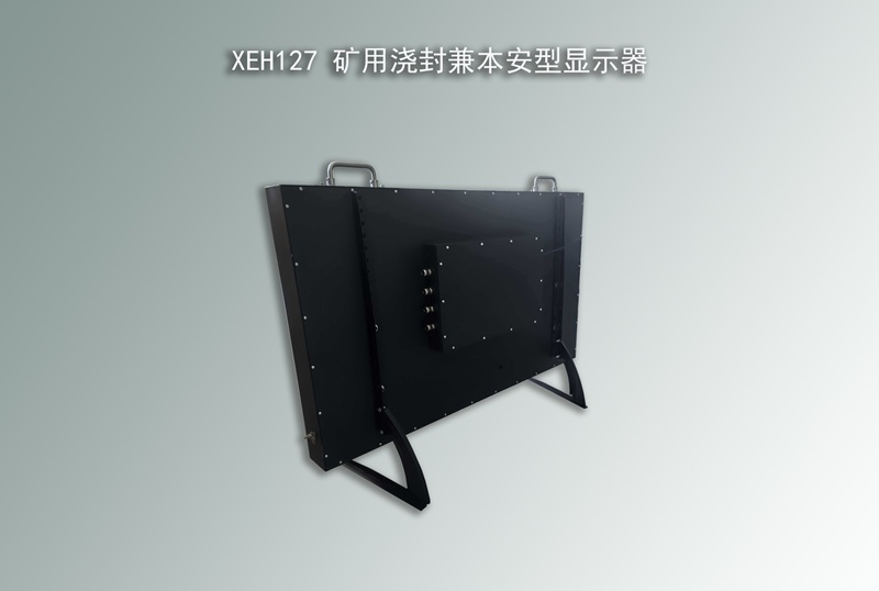 XEH127浇封兼本安型显示器