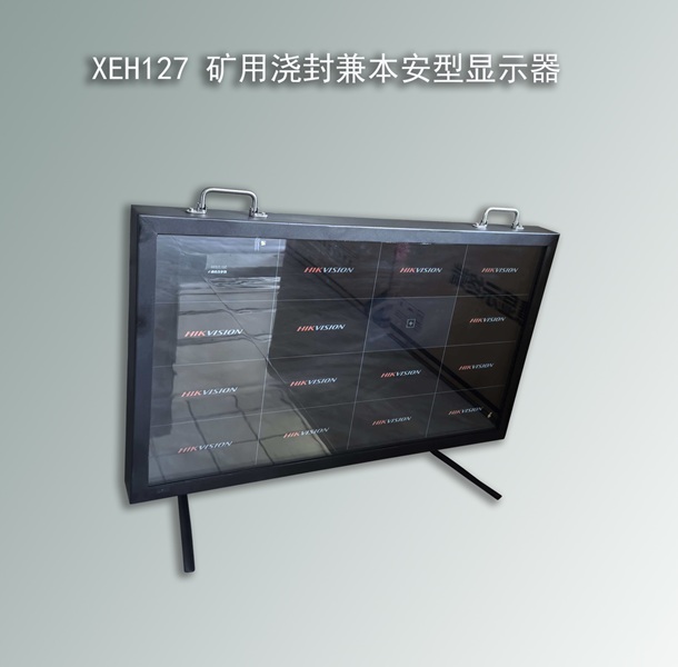XEH127 矿用浇封兼本安型显示器