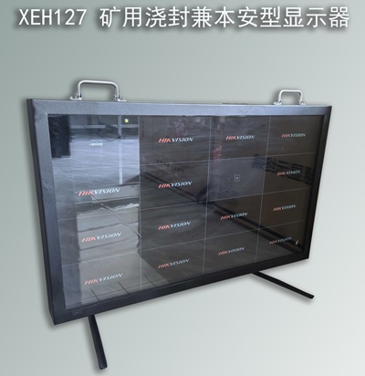 XEH127 矿用浇封兼本安型显示器
