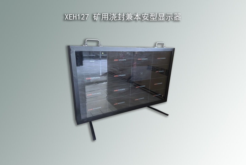 浇封兼本安型显示器,防爆显示器